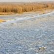 Cina, con l'auto sul fiume ghiacciato per non pagare il pedaggio03