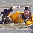Dobermann finisce nel lago ghiacciato3