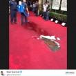 Golden Globe, red carpet allagato per colpa di un estintore difettoso01