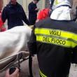 Matera, crollo palazzo. Disperso salvato dopo 12 ore05