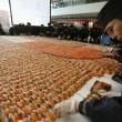 Sushi gigante da Guinness realizzato con 20647 bocconcini02
