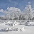 Cascate del Niagara ghiacciate a causa del "polar vortex"