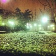 Violenta grandinata a milano le strade sembrano ricoperte di neve03