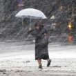 Neve a Tokyo, la peggior tempesta degli ultimi 20 anni (foto)2