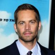 Paul Walker, eredità alla figlia Meadow: 25 milioni di dollari