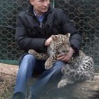 Putin entra nella gabbia del leopardo (foto01