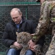 Putin entra nella gabbia del leopardo (foto02