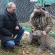 Putin entra nella gabbia del leopardo (foto03