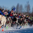 Alaska la Iditarod, la corsa con i cani da slitta03