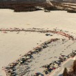 Alaska la Iditarod, la corsa con i cani da slitta04