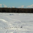 Alaska la Iditarod, la corsa con i cani da slitta05
