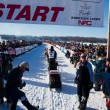 Alaska la Iditarod, la corsa con i cani da slitta09