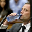 Oscar Pistorius, si apre processo per l'omicidio di Reeva Steenkamp07