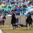 Palio di Asti, fantino Jonatan Bartoletti indagato per la morte del cavallo