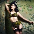 Dita Von Teese testimonial in lingerie05