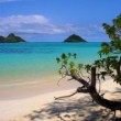 lanikai-beach-alle-315095_tn