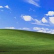 Windows Xp, ecco la storia della foto più vista di sempre
