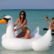 Claudia Romani sexy e maliziosa sul cigno in spiaggia03