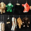 macelleria peluche 02