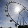 Las Vegas, inaugurata ruota panoramica da Guinness03