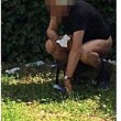 Roma. Uomo abbassa i pantaloni e defeca a Villa Borghese in pieno giorno (foto) 2