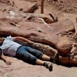 Argentina, scoperto in Patagonia super dinosauro02