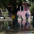 Serbia e Bosnia sott'acqua: inondazioni provocano almeno 40 morti03