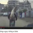 Capra "cavalca" un uomo in bicicletta: GUARDA IL VIDEO