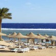 sharm-el-sheikh-t