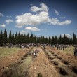 Turchia, crollo miniera: campo di bare