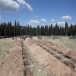 Turchia, crollo miniera: campo di bare 6