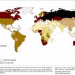 Alcol, classifica dei Paesi dove si beve di più. Russia in testa, Italia "sobria"