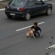 Bambino ferma il traffico per aiutare il cane ferito (FOTO)