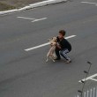 Bambino ferma il traffico per aiutare il cane ferito 1