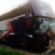 Alce "indemoniata" rompe il vetro del pullman01