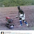 Mario Balotelli taglia l'erba in campo: gli sfottò su Twitter05