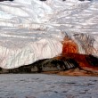 Le "cascate di sangue" in Antartide, macchiate dal ferro dei batteri (FOTO) - 1