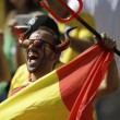 Belgio-Algeria 2-1, le FOTO: la partita, lo stadio, i tifosi