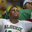 Belgio-Algeria 2-1, le FOTO: la partita, lo stadio, i tifosi