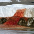 Le "cascate di sangue" in Antartide, macchiate dal ferro dei batteri (FOTO) - 2