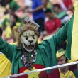 Camerun-Croazia 0-4, le FOTO: la partita, i gol, lo stadio, i tifosi
