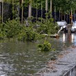 Nubifragi da Roma a Napoli: bombe d'acqua causano allagamenti e danni (foto) 13