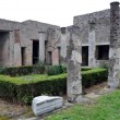 Pompei: turista georgiano ruba pezzi di un mosaico, arrestato 02