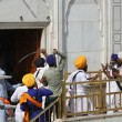 India, la guerriglia dei sikh al Tempio d'Oro di Amristar: scimitarre e bastoni 03
