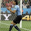 Uruguay-Inghilterra 2-1, le FOTO: i gol di Suarez e Rooney, lo stadio, i tifosi