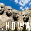 Tim Howard eroe sui social network
