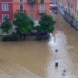 Maltempo Milano, esonda fiume Seveso 5