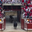 2014 Sanfermines in Pamplona09