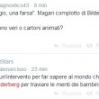 Carlo Sibilia (M5s) sbaglia: "Sbarco su Luna 43 anni fa". FOTO tweet di sfottò 2