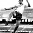 Alfredo di Stefano